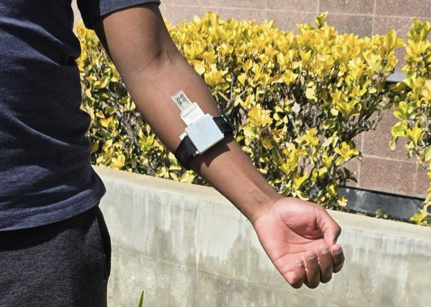 A picture of a wearable, bioelectronic sweat sensor for long-term health monitoring on a person's forearm